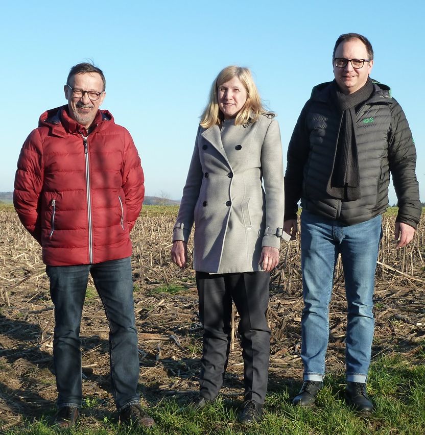 Drei für ein Gewerbegebiet in Gauangelloch